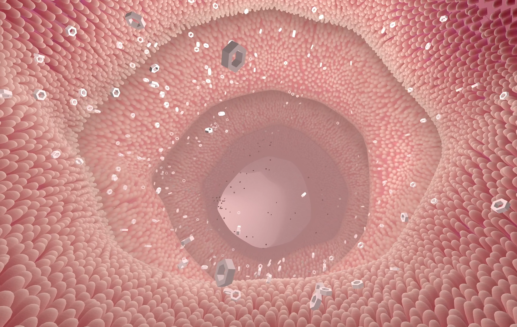 VR Microvilli and Bowel Sequence